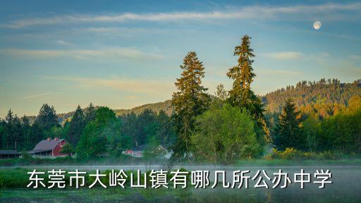 東莞市大嶺山鎮有哪些私立小學，東莞哪里有好一點的私立小學