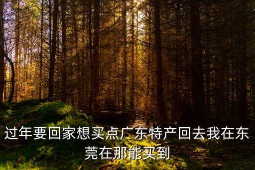 過年要回家想買點廣東特產回去我在東莞在那能買到