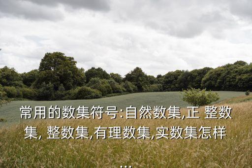 整數(shù)集合,這些數(shù)集是什么?
