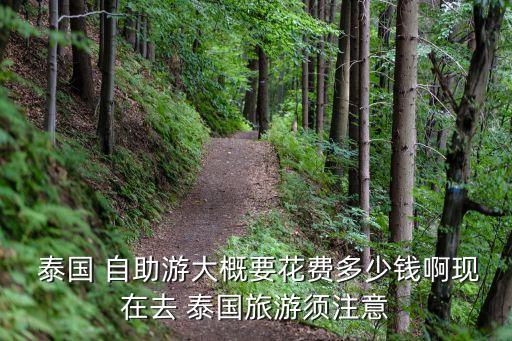泰國(guó)自助游,泰國(guó)必游之地:曼谷大皇宮和芭提雅人妖