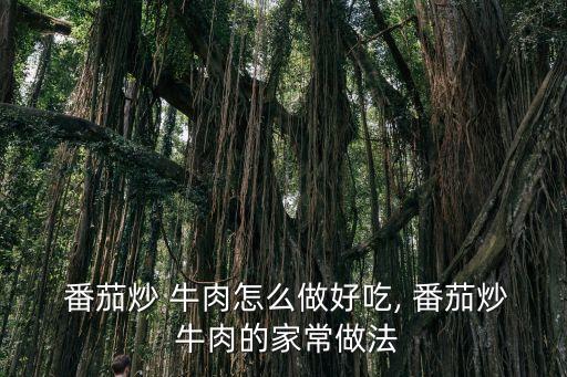  番茄炒 牛肉怎么做好吃, 番茄炒 牛肉的家常做法
