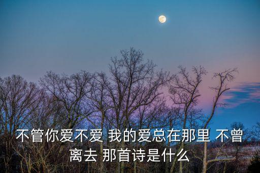 不管你愛不愛 我的愛總在那里 不曾離去 那首詩是什么