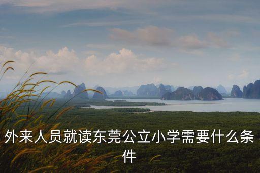 2020年東莞公辦小學入學，有誰知道今年入讀東莞公辦小學需要什么條件