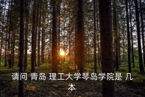請問 青島 理工大學琴島學院是 幾本