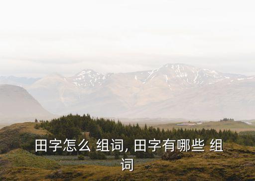 田字怎么 組詞, 田字有哪些 組詞