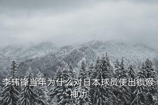李瑋鋒當年為什么對日本球員使出鎖喉神功