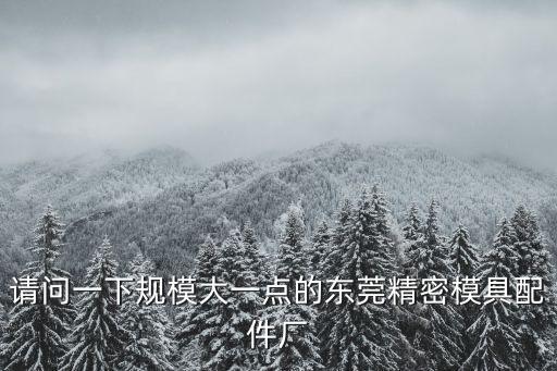 請問一下規(guī)模大一點的東莞精密模具配件廠