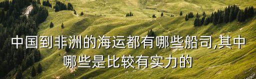 pil船公司,非洲船公司優勢不容討論建議去查詢一下