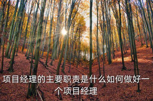 項目負責人的主要職責，項目技術負責人職責有哪些