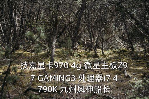 技嘉顯卡970 4g 微星主板Z97 GAMING3 處理器i7 4790K 九州風(fēng)神船長(zhǎng)