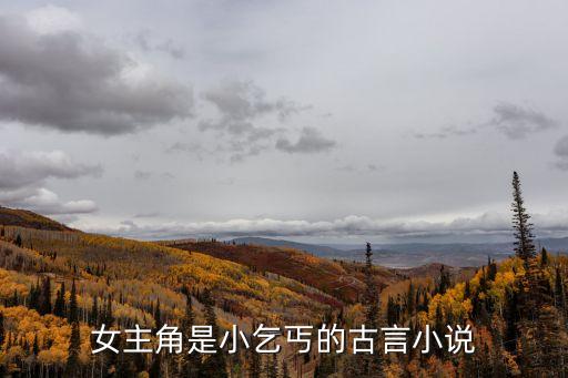 乞丐小說，乞丐題材的小說有哪些