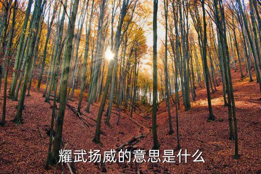 耀武揚威的意思,大悲劇》第二十一課:炫武揚威