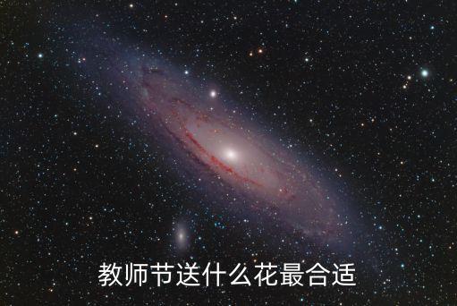 適合送老師的花，買什么花給老師好