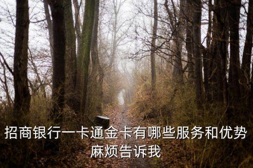 招商銀行一卡通金卡有哪些服務和優勢麻煩告訴我