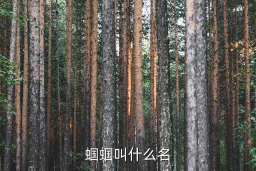蟈蟈叫什么名