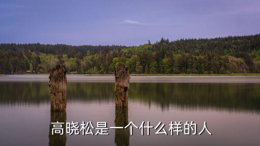 高曉松,高曉松:如果有機會讓清華同學(xué)成立科研中心很高興