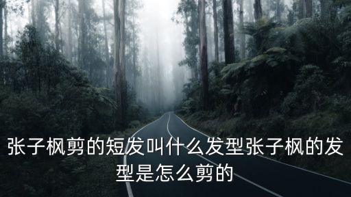 張子楓剪的短發叫什么發型張子楓的發型是怎么剪的