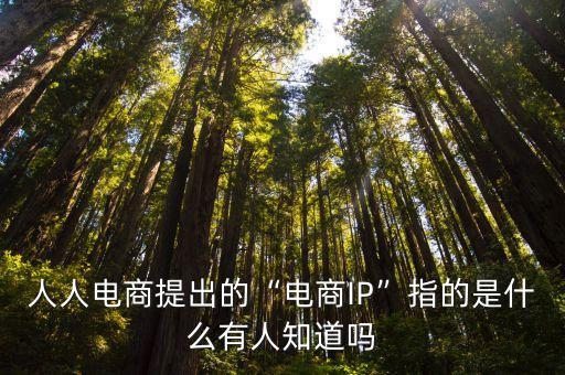 ip商,人人網(wǎng)商提出網(wǎng)商ip電商模式