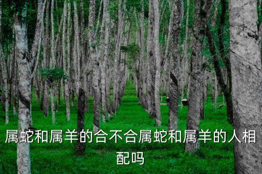 屬蛇和屬羊的合不合屬蛇和屬羊的人相配嗎