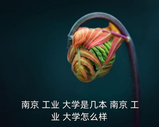  南京 工業 大學是幾本 南京 工業 大學怎么樣