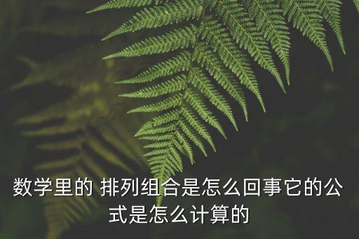 數學里的 排列組合是怎么回事它的公式是怎么計算的