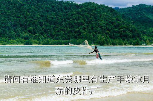 請問有誰知道東莞哪里有生產手袋拿月薪的皮件廠