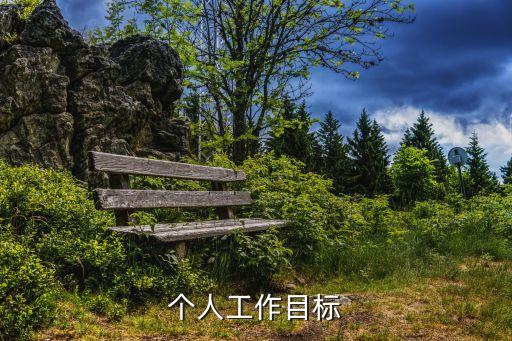 個人工作目標