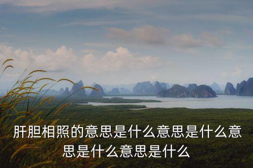  肝膽相照的意思是什么意思是什么意思是什么意思是什么
