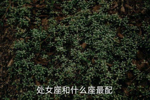 處女座和什么座最配