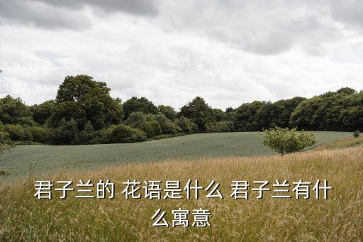君子蘭的花語(yǔ),君子蘭寓意美好葉子比較厚象征著堅(jiān)硬和剛毅