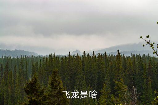 飛龍是什么動物,藥店飛龍是什么意思?
