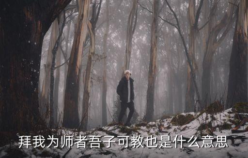 為師者，拜我為師者吾子可教也是什么意思
