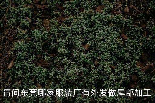 請(qǐng)問(wèn)東莞哪家服裝廠有外發(fā)做尾部加工