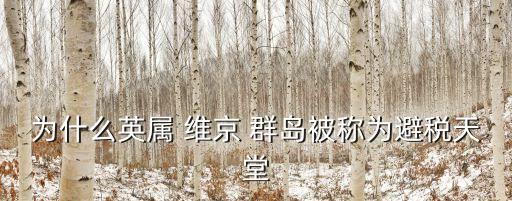 維京群島,加勒比海中40多個(gè)島嶼組成的群島