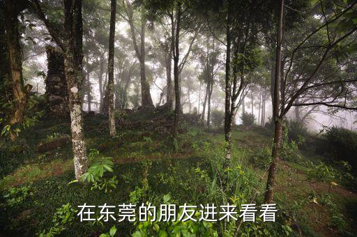 在東莞的朋友進(jìn)來看看