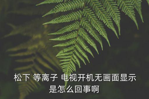松下等離子電視,42個等離子電視故障現象為3no