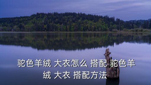 駝色大衣搭配,潮流服飾搭配精致小物