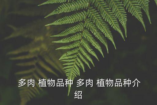 多肉植物種類,精品肉植物有哪些?