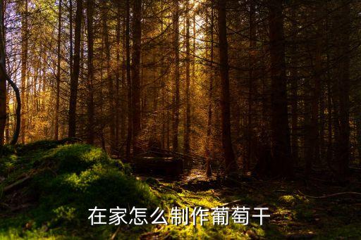葡萄干怎么做，在家怎么制作葡萄干