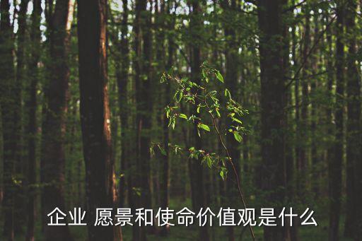  企業 愿景和使命價值觀是什么