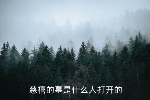 慈禧的墓,孫殿英炸慈禧太后陵墓揭開烈士墓碑