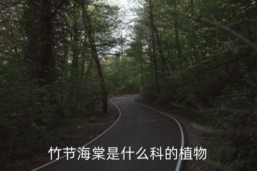 竹節海棠是什么科的植物