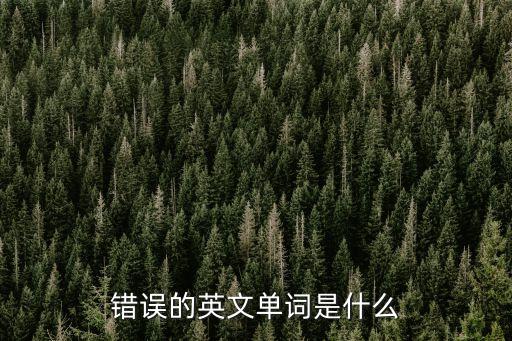 錯誤英文，錯誤的英文單詞是什么