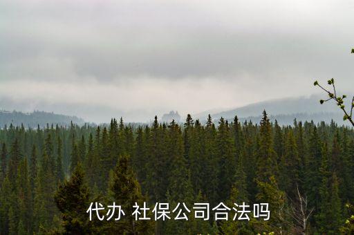  代辦 社保公司合法嗎