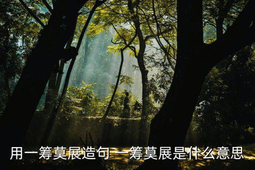 一籌莫展是什么意思，一籌莫展的意思