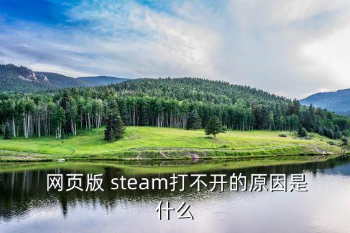 steam網頁版,steam平臺是一個集成游戲下載平臺