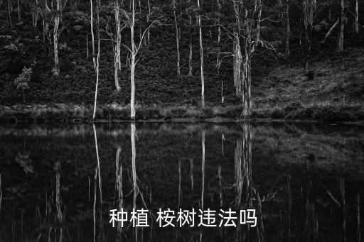 桉樹種植,大規模引入桉樹會導致地下水水位下降