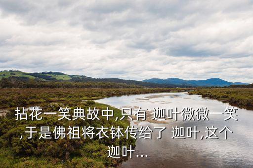 拈花一笑典故中,只有 迦葉微微一笑,于是佛祖將衣缽傳給了 迦葉,這個 迦葉...