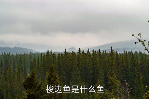 梭邊魚是什么魚,不是吃垃圾長大的梭邊魚