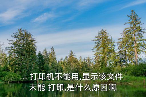 ... 打印機不能用,顯示該文件 未能 打印,是什么原因啊
